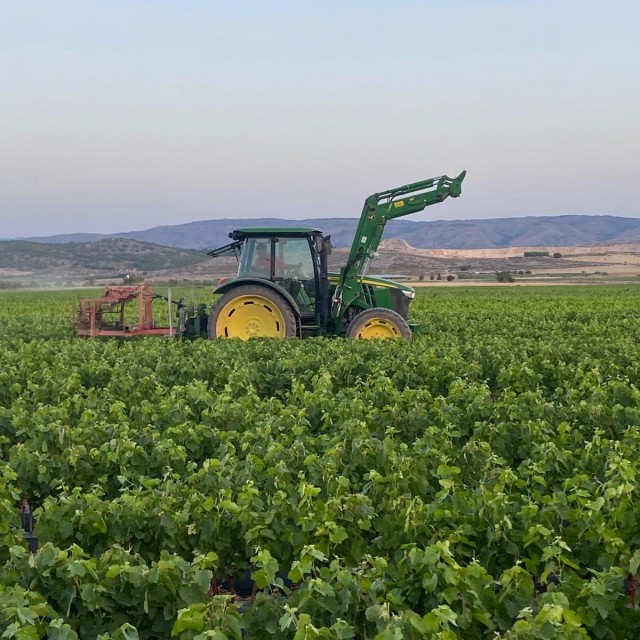 ¡Viveros Gilabert Estrena Nueva Web! 🌿