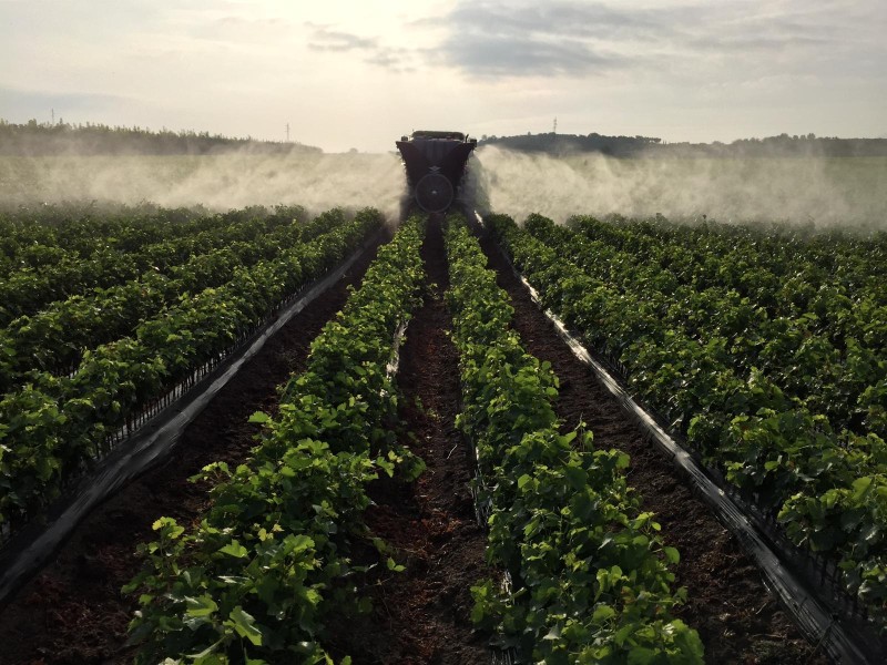 Contacta con nosotros